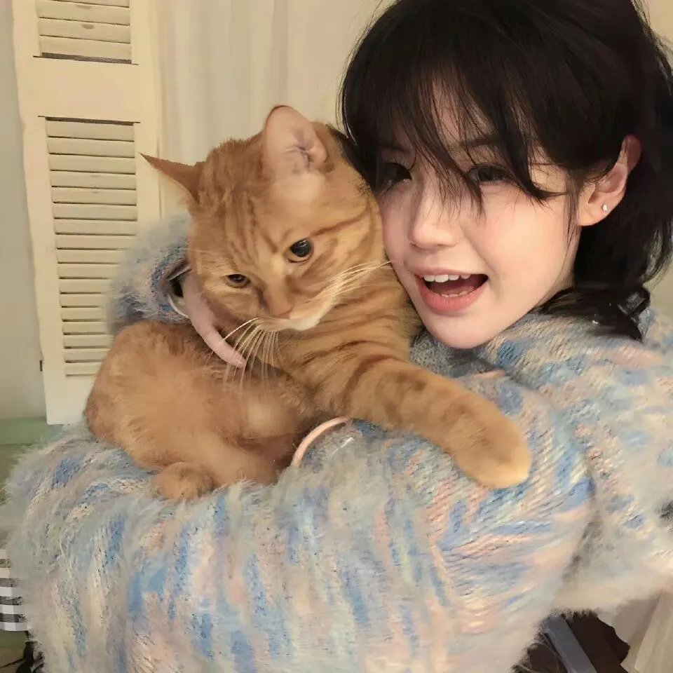 猛鬼街